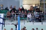 Tarnow.net.pl - dobre strony Tarnowa